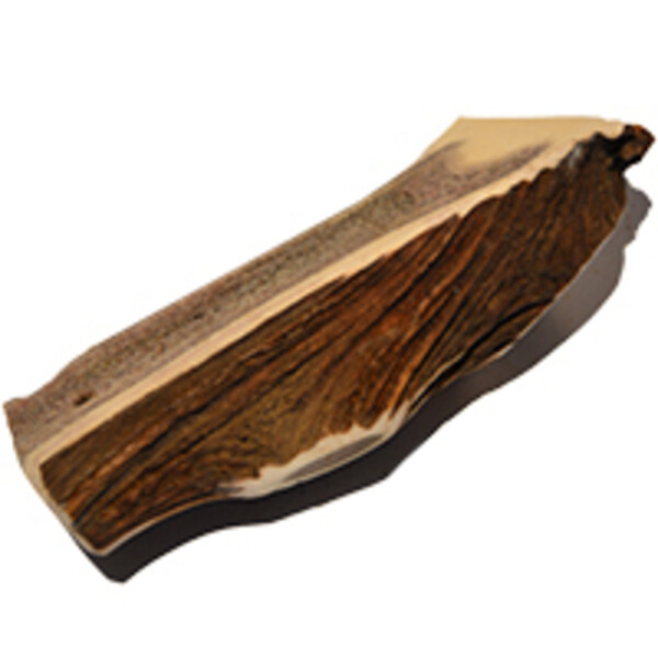 Hirsch-Geweih halbiert